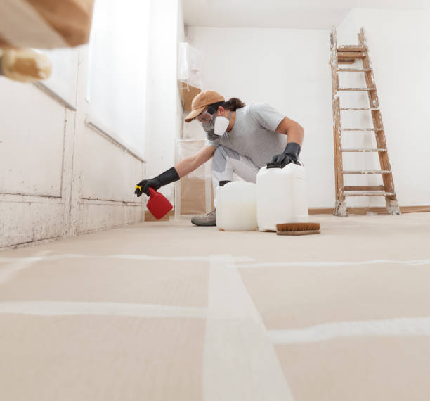 Mold Remediation for Rental Properties in Ladd, IL